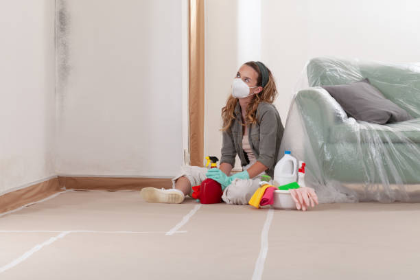 Reliable Commercial Mold Remediation contractor in Anna, TX by Car Mold Remediation